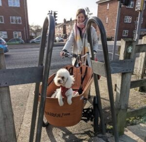 Photo shows a white woman riding a cargo trike with a brown plywood box on the front. A white poodle is sitting in the front of the box. The trike is stuck behind a large metal A frame between a road and a traffic-free cycle path.