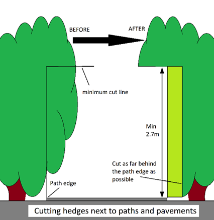 Diagram shows a green overgrown bush on the left, a bush that has been cut back on the right and a path between the two. Labels show how the left hand bush should be cut to produce the correctly-cut right hand bush. Descriptions state that the plants should be cut back as far as possible behind the path edge to a minimum height of 2.7m