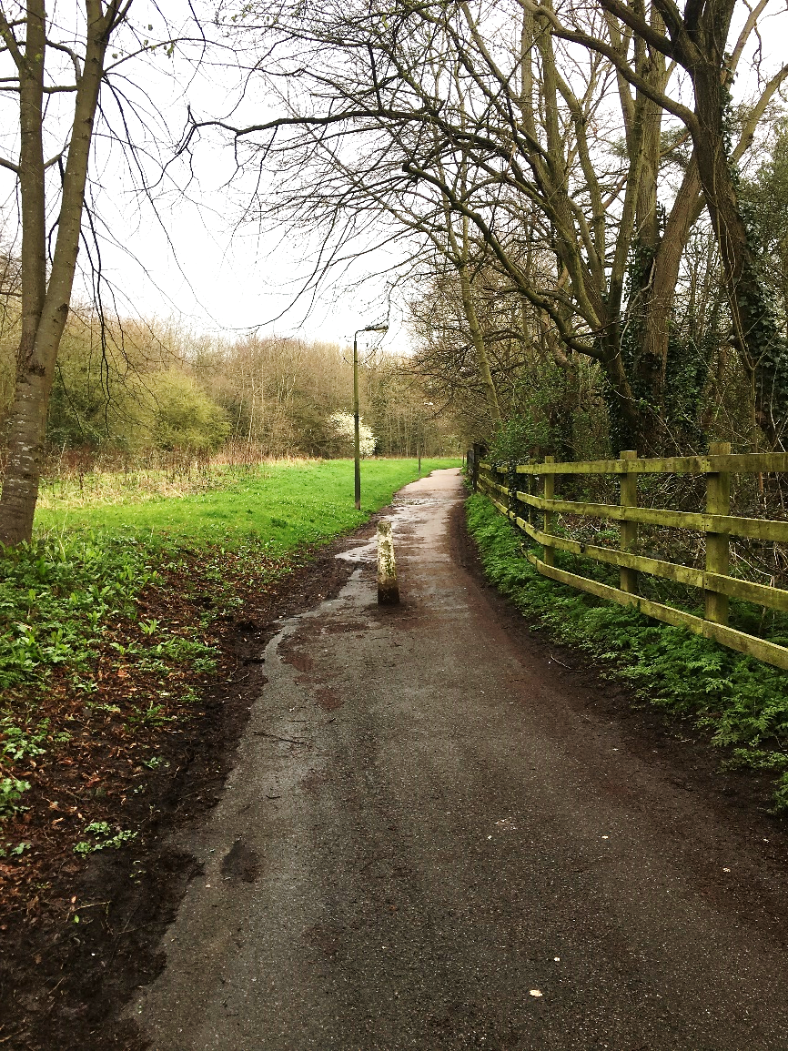 A traffic-free tarmac path is shown with a rising grass slope to the left and a wooden post and rail fence to the right. There is a concrete bollard about 1m high in the middle of the path. The white paint on the bollard is badly worn so the bollard is hard to see. The path edges have not been cleared for some time, so the left hand side of the path is deep with leaf mould while nettle and cow parsley has grown beyond the fence line on the right. In this early-spring photo, the cow parsley is not yet fully obstructing the right hand side of the path.