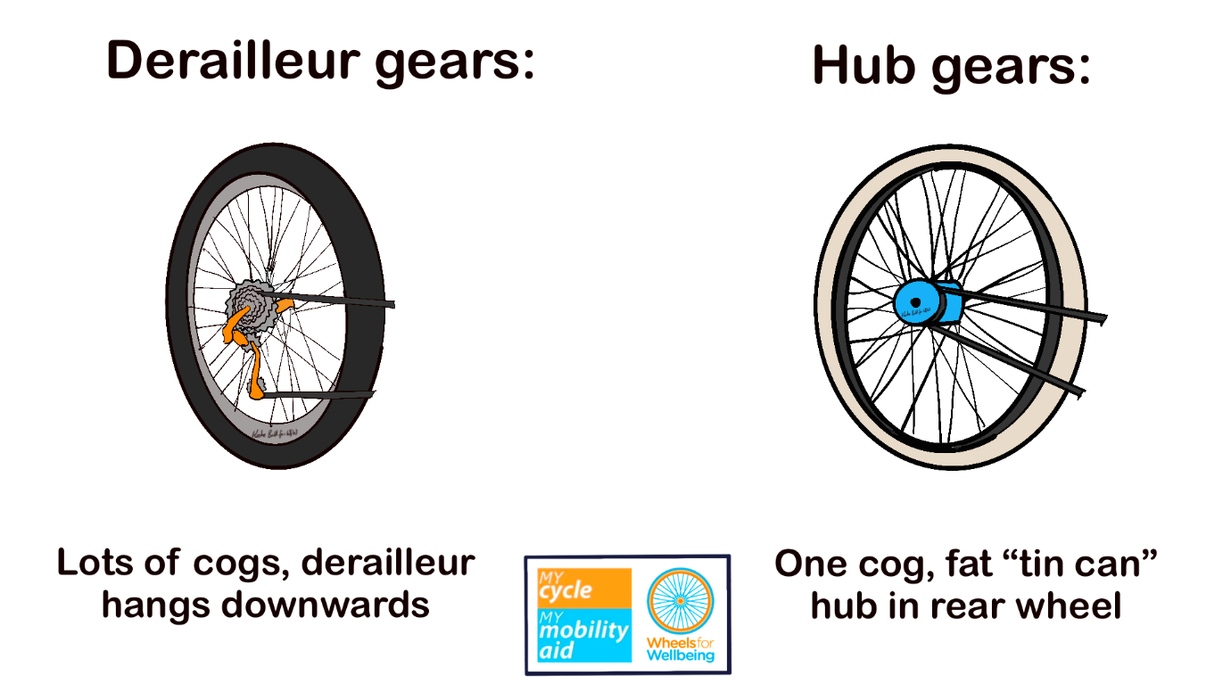 Graphic describing difference between derailleur gears and hub gears. Drawing of derailleur gear cycle wheel has text "lots of cogs, derailleur hangs downwards". Drawing of hub cycle wheel has text "one cog, fat "tin can" hub in rear wheel".