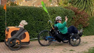 A photo of Steph using her new recumbent ICE trike which is pedalled with feet. It has two small wheels at the front and a larger wheel at the back. There is a large green flag and a yellow walking stick sticking out behind Steph, who is waving to the camera. An orange trailer is being towed behind the trike. An interested-looking golden dog has its head sticking out of the trailer top.